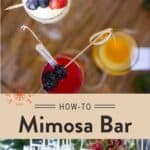 https://www.vindulge.com/wp-content/uploads/2018/09/mimosa-Long-Pin-Light-150x150.jpg