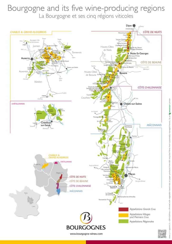 Back to Bourgogne: An introduction to Burgundy wines - Vindulge