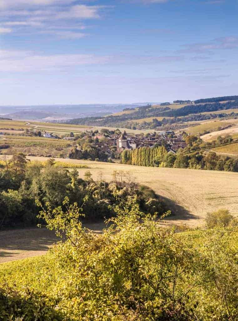 Back to Bourgogne: An introduction to Burgundy wines - Vindulge