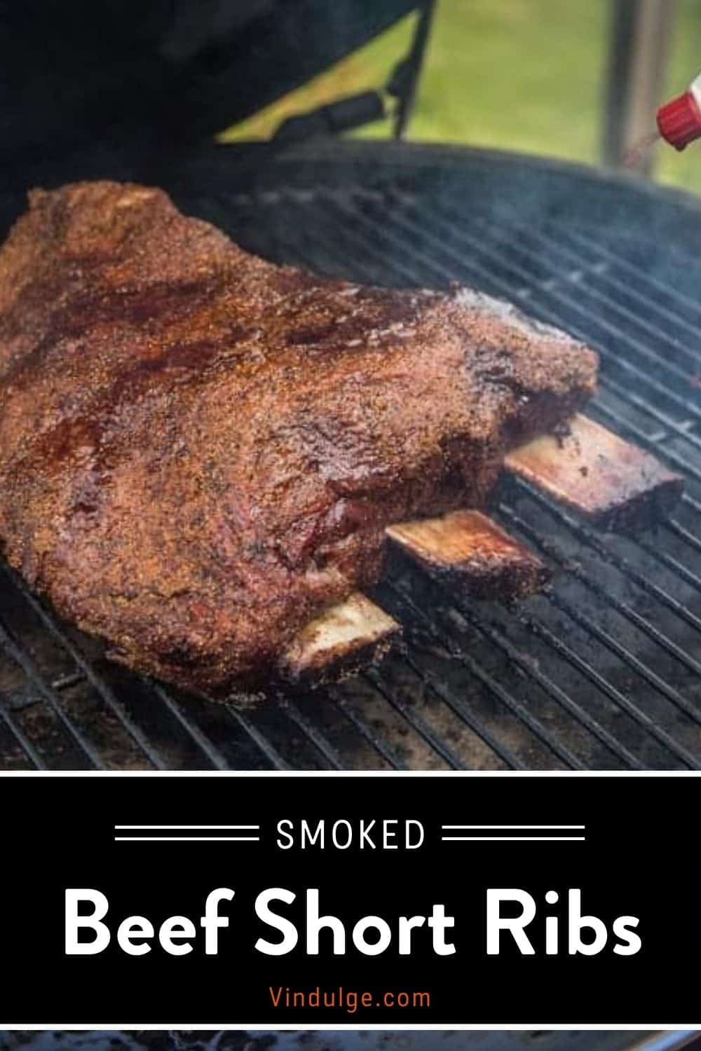 Smoked Beef Plate Ribs pin