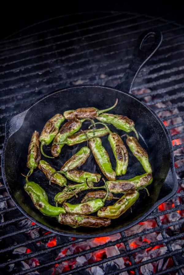 Grilled Shishito Peppers With Lemon Yogurt Dipping Sauce - Vindulge