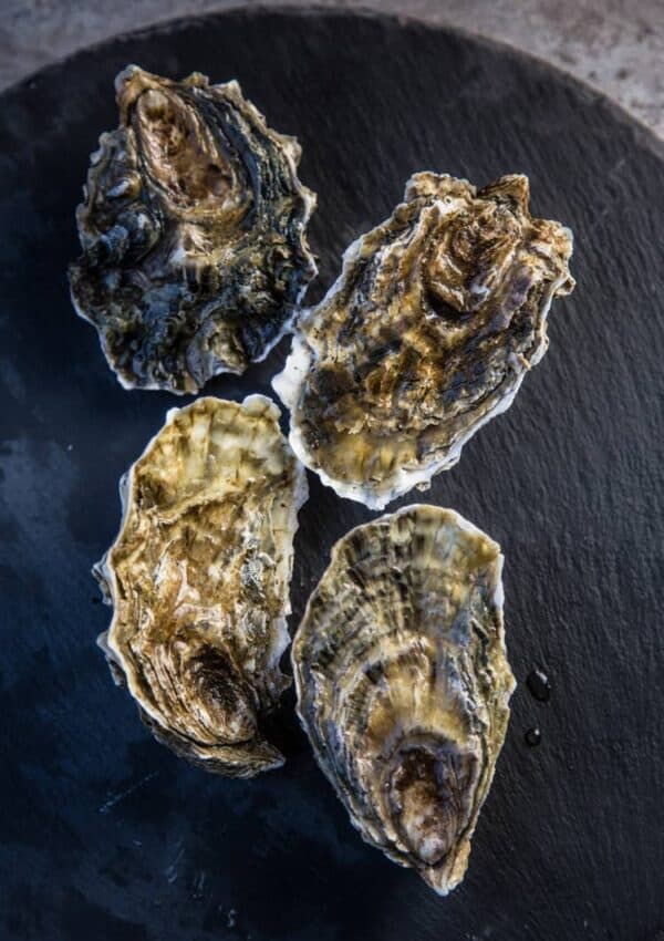 Grilled Oysters with White Wine Butter Sauce - Vindulge