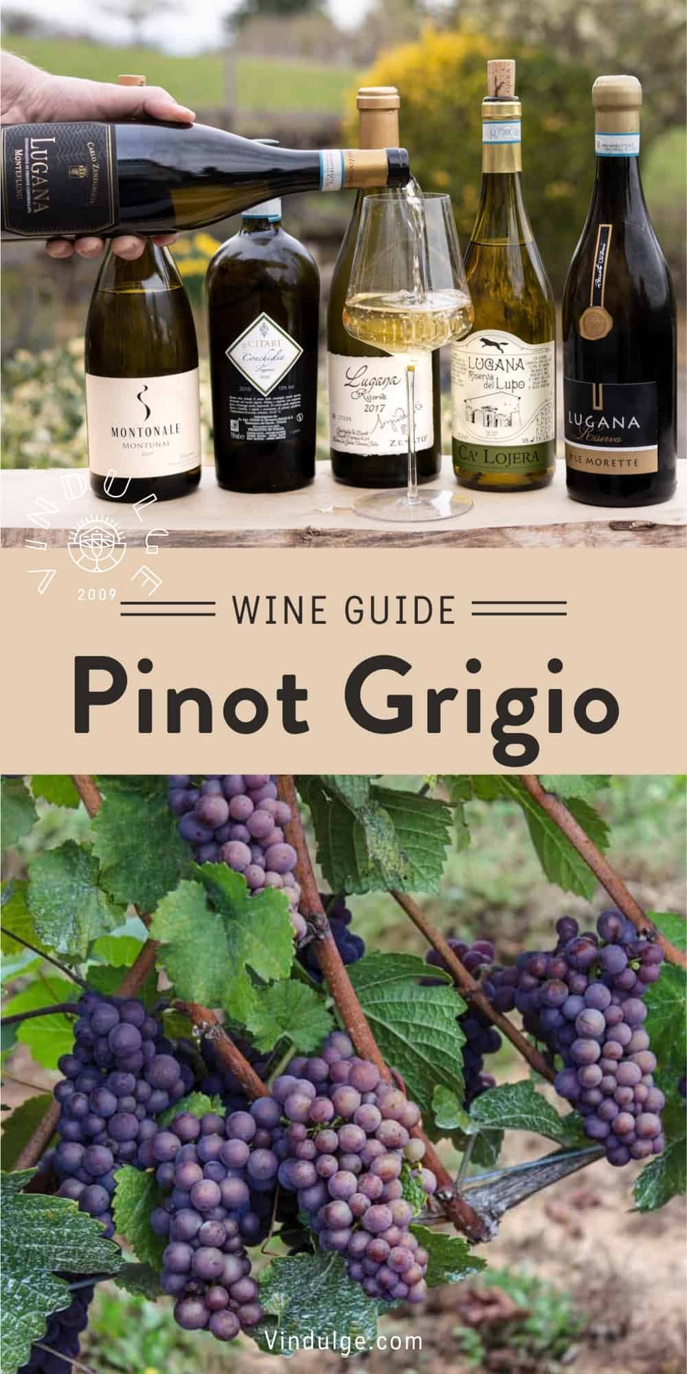 Pinot Gris (Pinot Grigio) Wine Guide - Vindulge