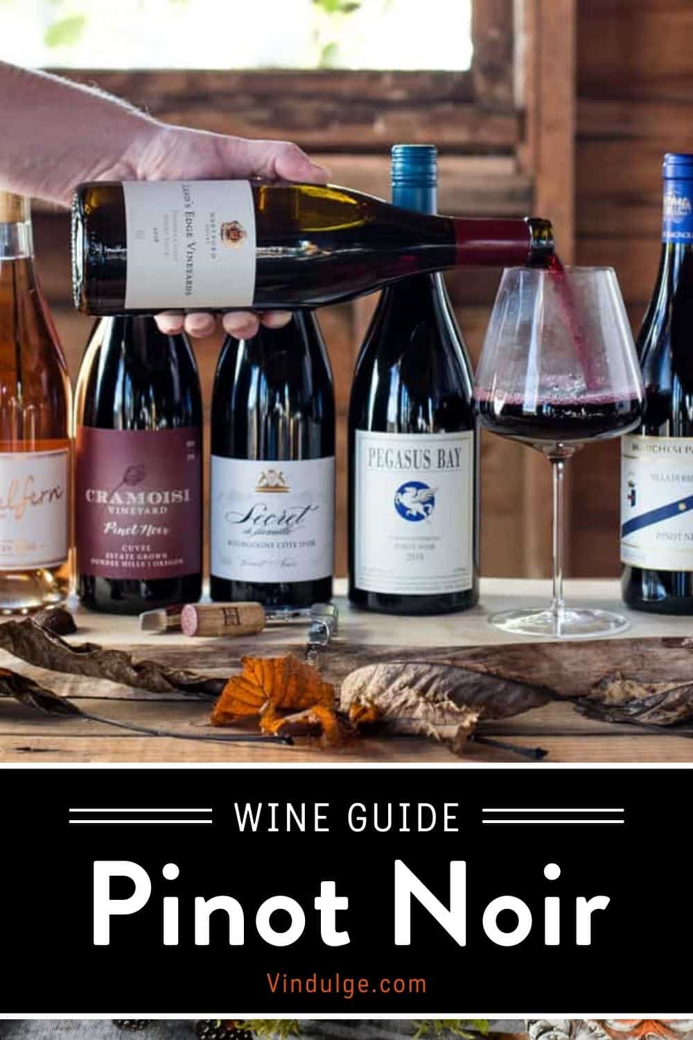 Pinot Noir Wine Guide - Vindulge