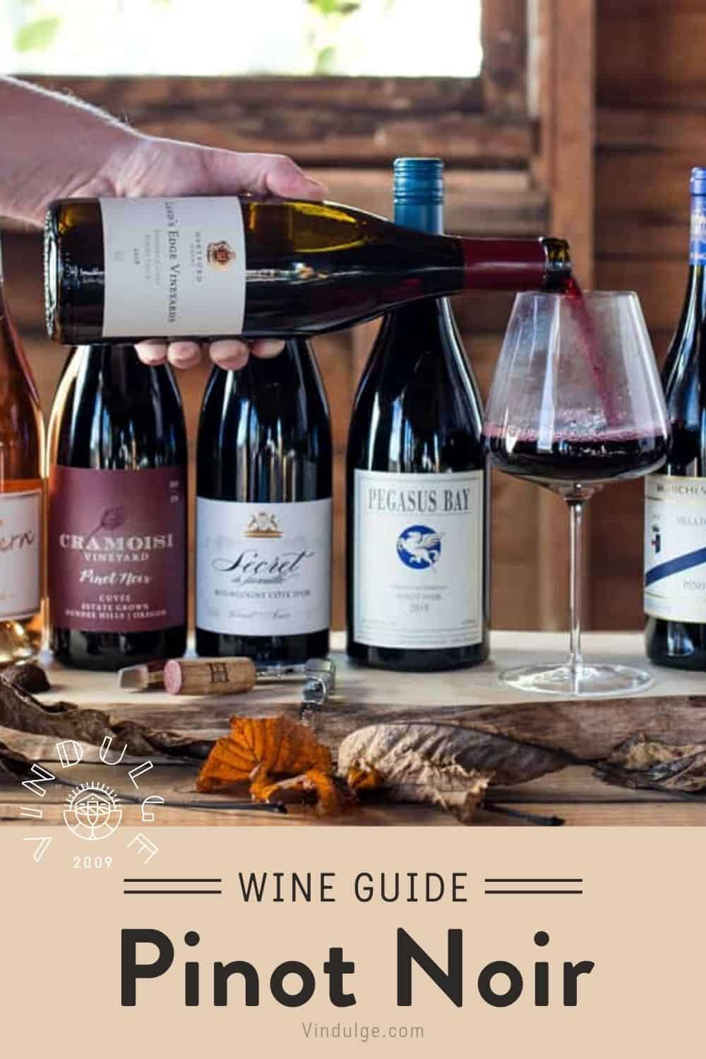 Pinot Noir Wine Guide - Vindulge