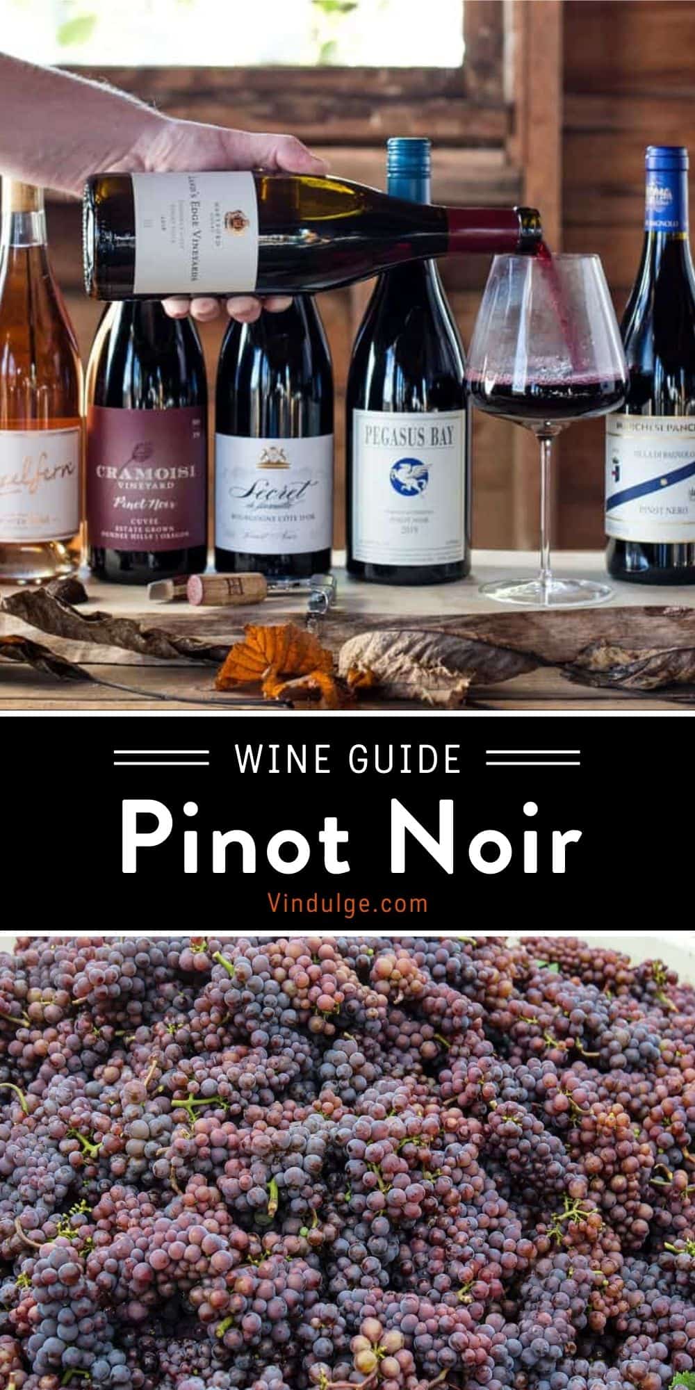 Pinot Noir Wine Guide - Vindulge