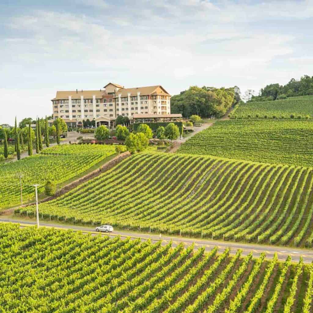 Brazilian vineyard and hotel on a hill.