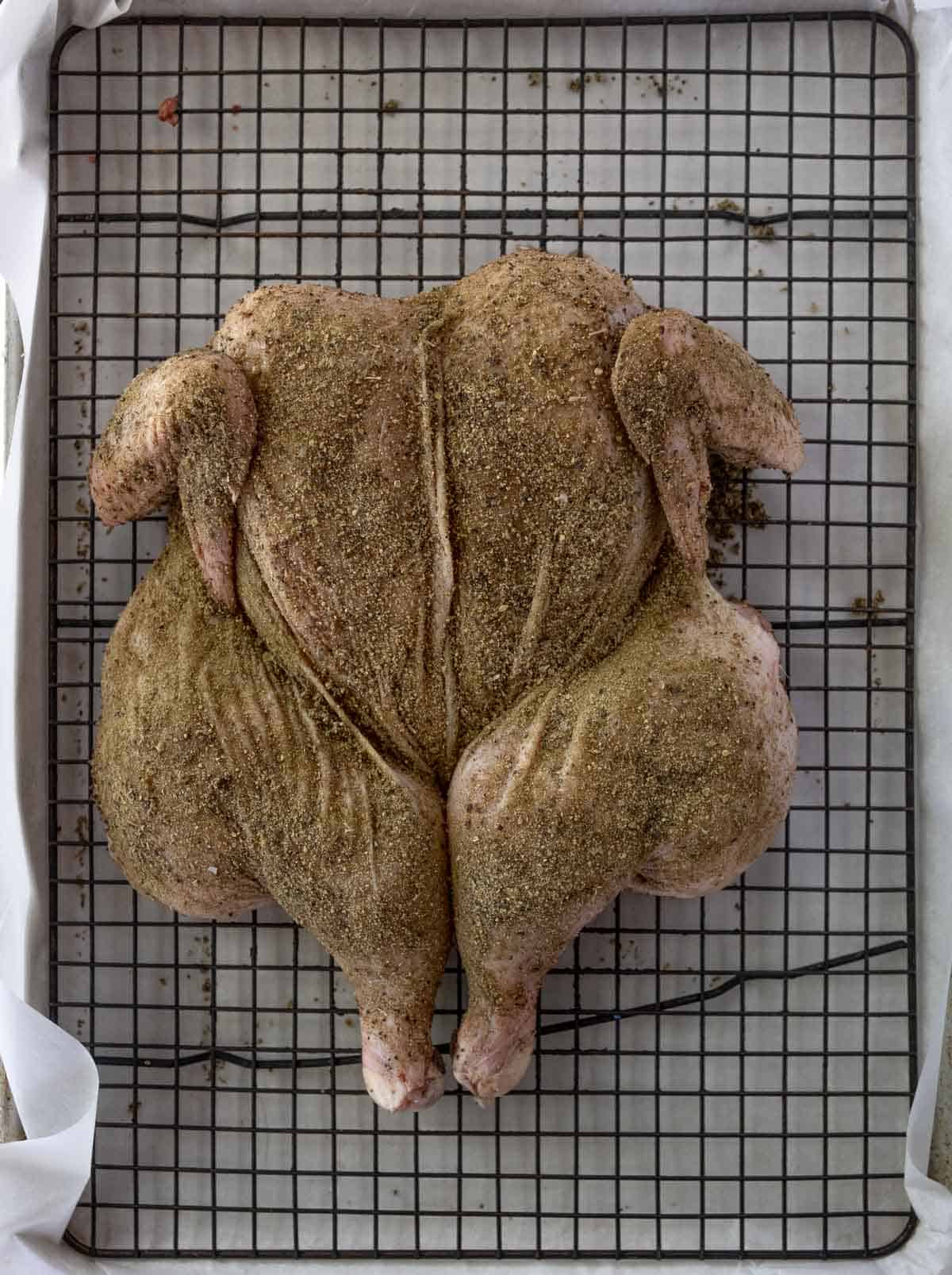 A spatchcocked chicken on a sheet pan with a wire rack.