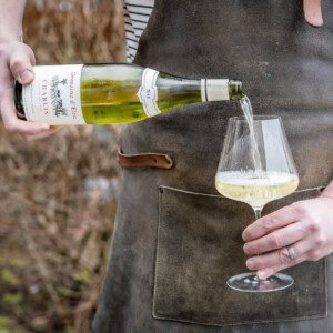 Pouring a glass of chablis into a wind glass